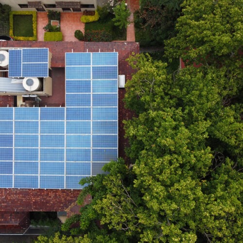 Stromy nebo solární panely: Co efektivněji sníží množství uhlíku v atmosféře?