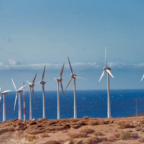 Větrné elektrárny mají problém – v Evropě je méně větru než kdy dříve. Může za to globální oteplování?