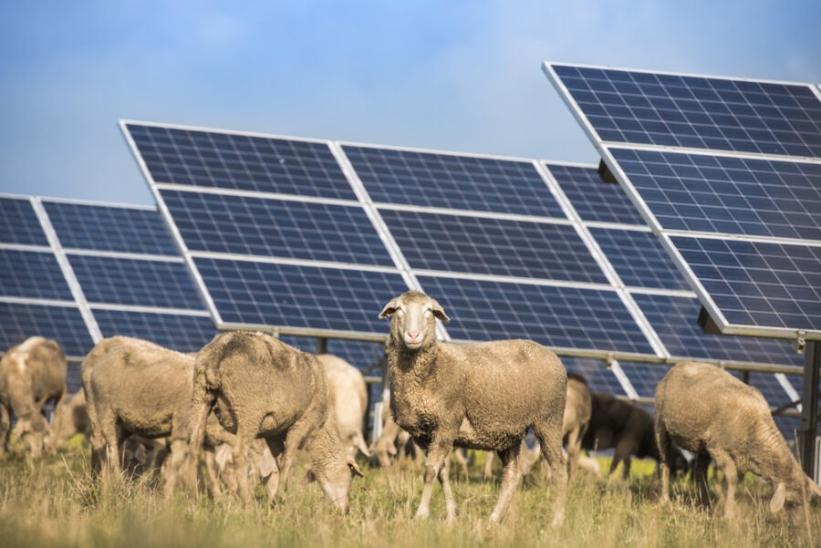 Fotovoltaika není jen pro rovníkové oblasti. Ve skutečnosti jsou solární panely efektivnější v chladném klimatu