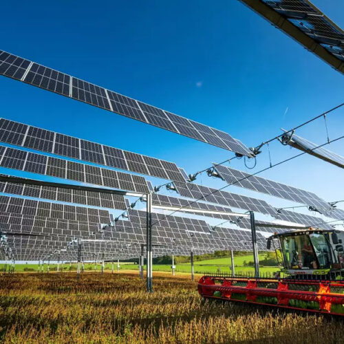 Ve Francii masivně zastínili půdu solárními panely. Agrovoltaika v praxi přináší obrovské benefity pro energetiku i zemědělství