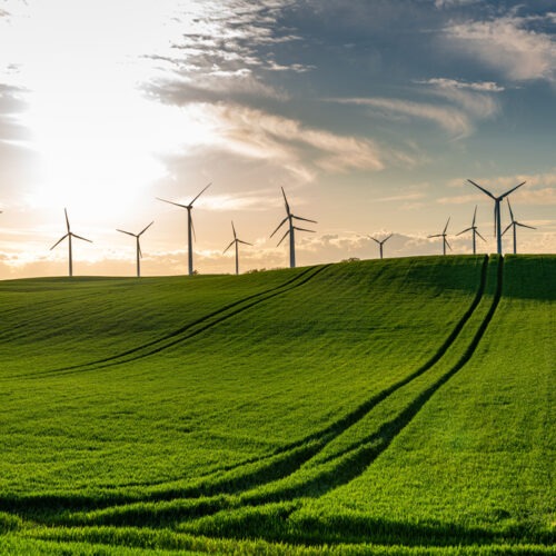 Obnovitelná energie se do roku 2025 stane hlavním zdrojem elektřiny