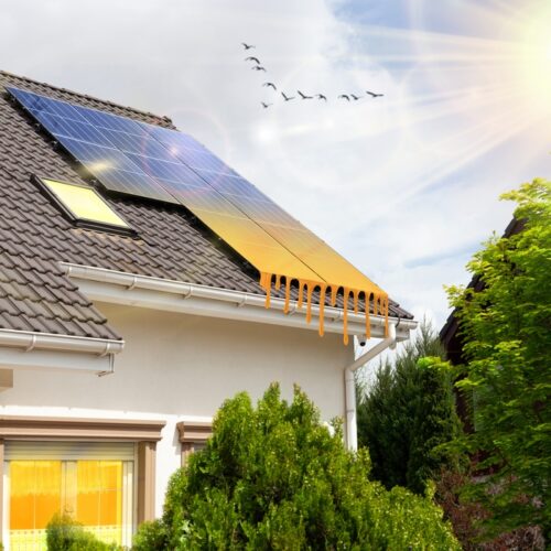 Češi začali nad výběrem fotovoltaiky více přemýšlet, říkají přední firmy v oboru