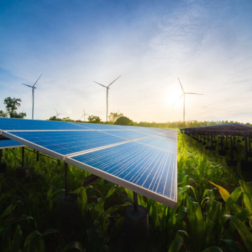 Fotovoltaické parky budou v ČR opět brzy vítány. Novela EU přikazuje rapidní zjednodušení povolovacích procesů